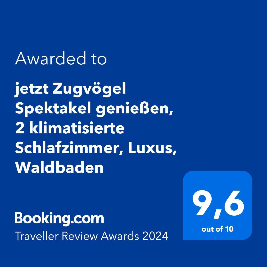 5 Sterne Bahnhoftraum, Appartement "Waldliebe" 133Qm, Grosse Terrasse 70Qm, Qr Code Scannen Fuer Virtuellen Rundgang, Premium Ausstattung Braunfels Bagian luar foto
